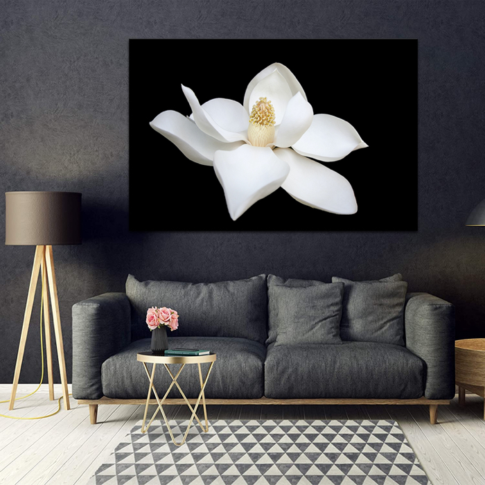 Falikép Fehér Virág Vászonkép