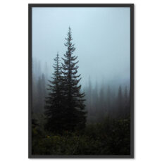 Fenyőfa a Ködben Poszter