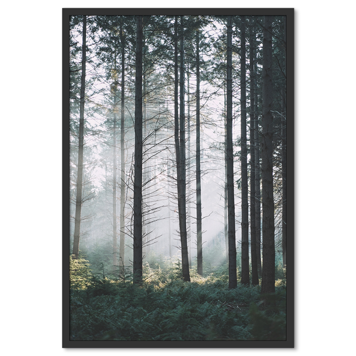 Erdőben Poszter