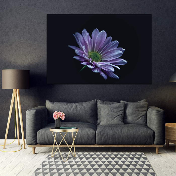Falikép Fekete Háttér Virág Vászonkép