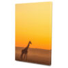 Zsiráf Afrikában Poszter