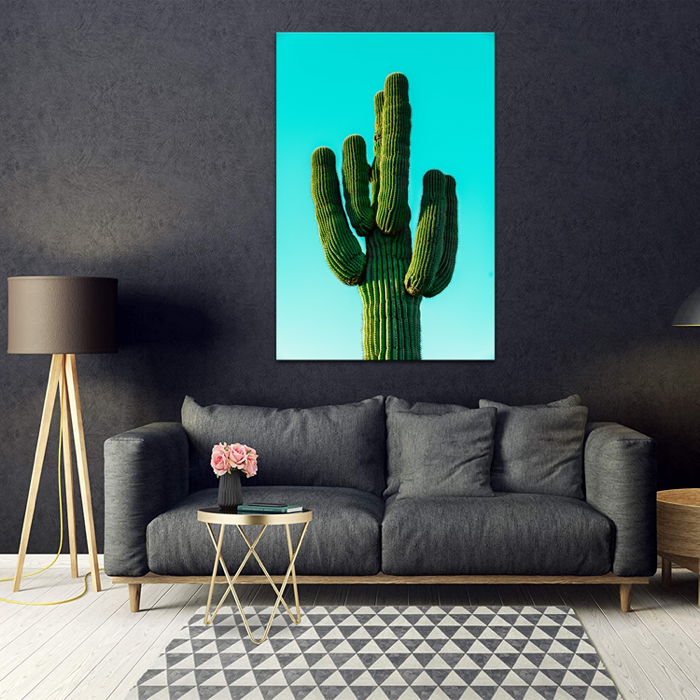Falikép Kaktusz Vászonkép