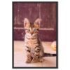 Falikép Kis cica Vászonkép