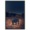 Falikép Elefánt Éjszaka Vászonkép