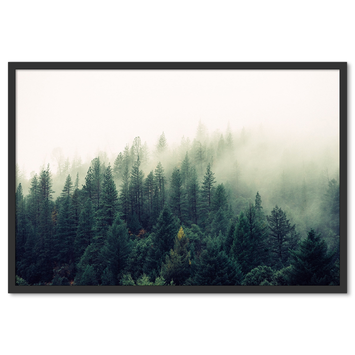 Ködös Erdő Poszter