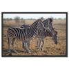 Falikép Zebra Vászonkép