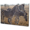 Falikép Zebra Vászonkép