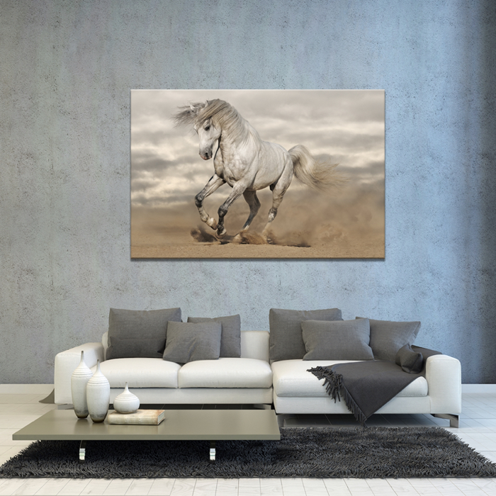Falikép Fehér Ló Vászonkép