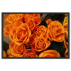 Falikép Narancssárga Rózsák Vászonkép
