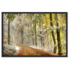 Téli Tájkép Erdő Hó Havas Természet Poszter