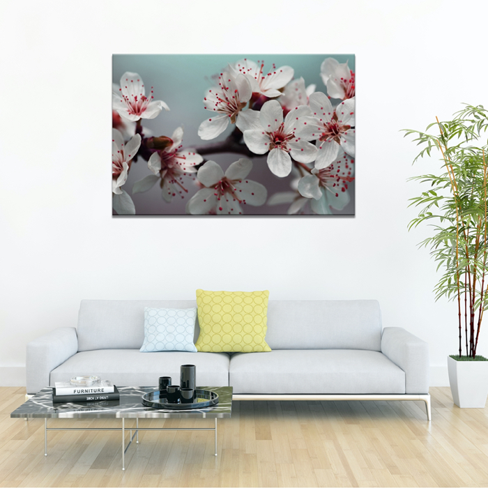 Falikép Színes Virág Növény Vászonkép
