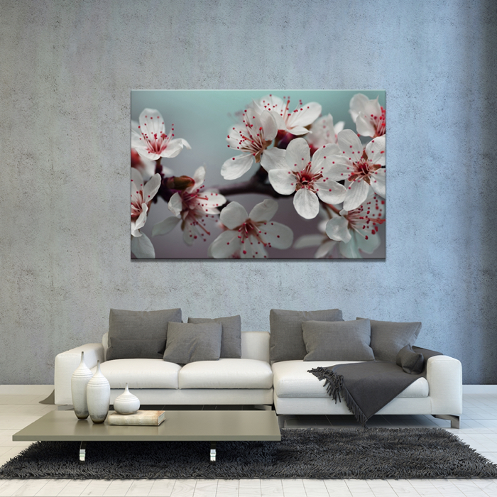 Falikép Színes Virág Növény Vászonkép