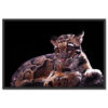 Falikép Leopárd Nagymacska Vadállat Vászonkép