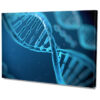 Falikép DNS, DNA, Biológia, Tudomány Vászonkép