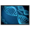 DNS, DNA, Biológia, Tudomány Poszter