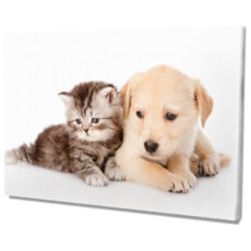 Falikép Cica és Kutyus Aranyos Kisállatok Vászonkép