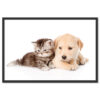 Falikép Cica és Kutyus Aranyos Kisállatok Vászonkép