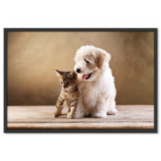 Cica és Kutyus Aranyos Kisállatok Poszter