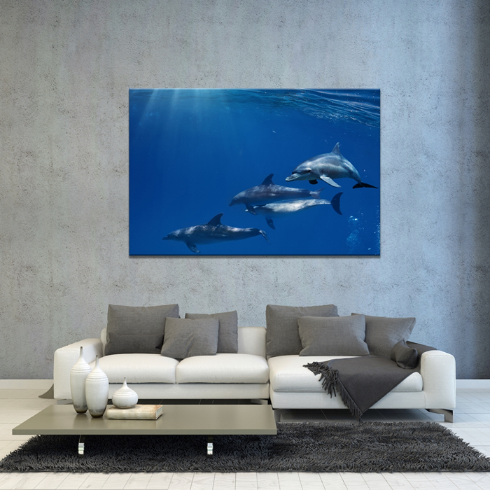 Falikép Delfinek Vászonkép