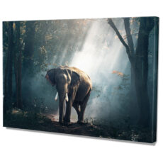 Falikép Elefánt Erdőben Vászonkép