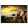 Falikép Elefánt Afrikában Vászonkép