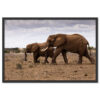 Falikép Elefántok Vászonkép