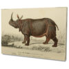 Falikép Orrszarvú Rinocérosz Festmény Rajz Grafika Vászonkép