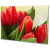 Falikép Tulipánok Virágok Vászonkép