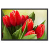 Falikép Tulipánok Virágok Vászonkép