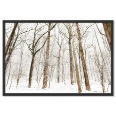 Téli Tájkép Erdő Hó Havas Természet Poszter