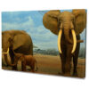 Afrikai Elefántok Poszter