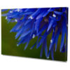 Falikép Kék Virág Vászonkép