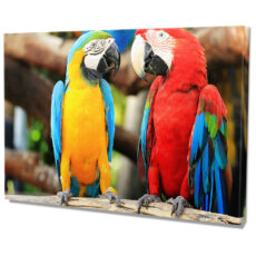 Falikép Színes Papagájok Trópusi Madarak Vászonkép