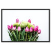 Tulipán Csokor Virág Növény Poszter