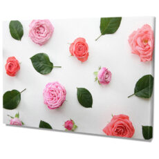 Falikép Rózsák Virágok Növények Vászonkép