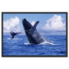 Falikép Bálnák Óceánban Tengeri Emlősök Vászonkép