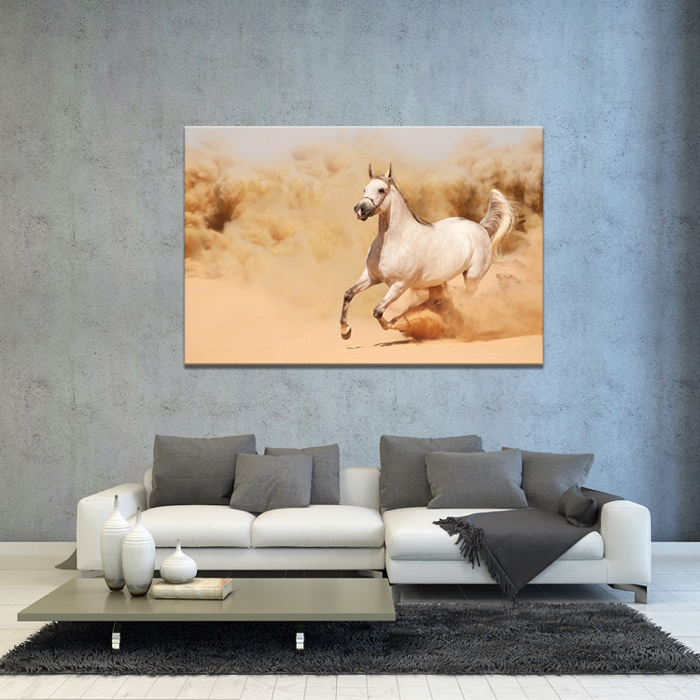 Falikép Vágtató Fehér Ló Vászonkép