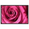 Falikép Rózsaszín Rózsa Vászonkép