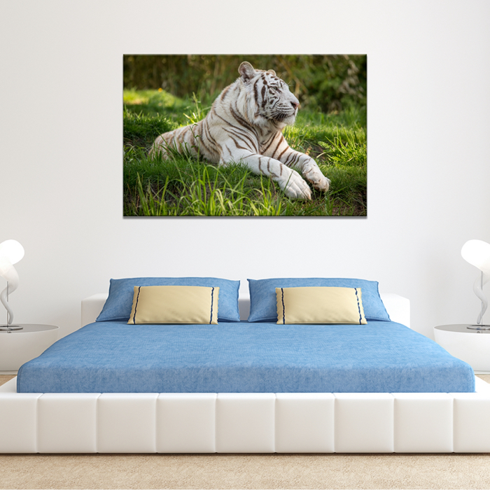 Falikép Fehér Tigris Vászonkép