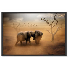 Elefántok Szafari Afrika Poszter