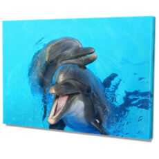 Falikép Delfinek Vászonkép