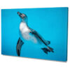 Falikép Császárpingvin, Pingvin Vászonkép