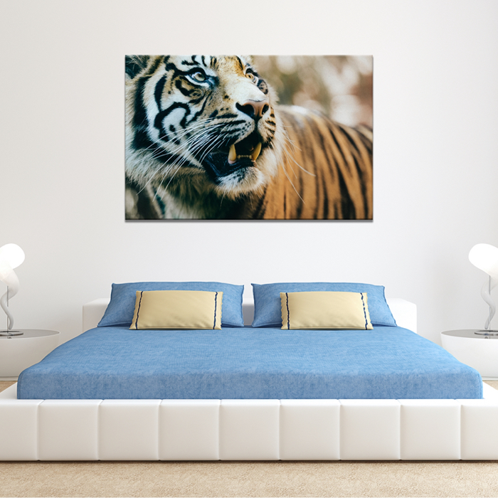 Falikép Tigris Fogak Nagymacska Vászonkép