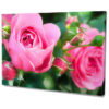 Falikép Rózsaszínű Rózsák Vászonkép
