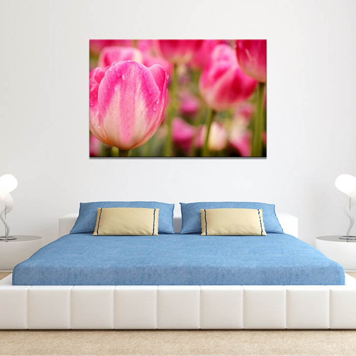 Falikép Rózsaszín Tulipán Virág Vászonkép