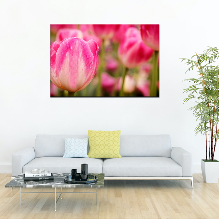 Falikép Rózsaszín Tulipán Virág Vászonkép
