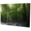 Falikép Napsugár Fények Erdőben Zöld Fák Vászonkép
