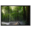 Falikép Napsugár Fények Erdőben Zöld Fák Vászonkép