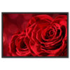 Falikép Vörös Rózsa Szirom Vászonkép