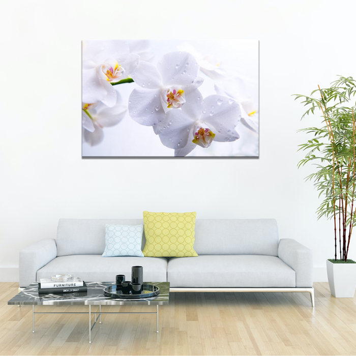 Falikép Fehér Virág Vászonkép